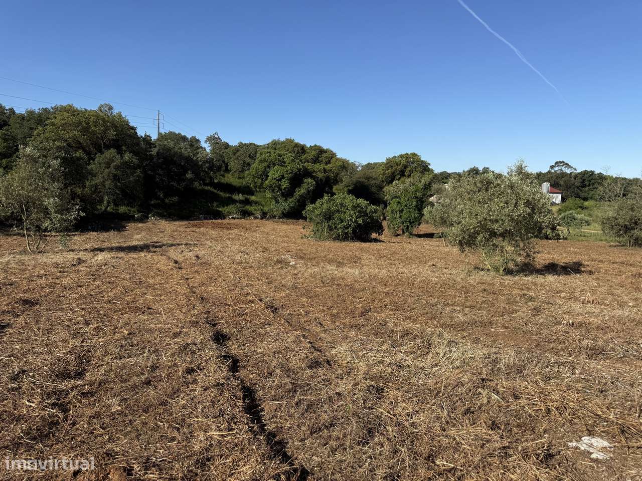 Terreno com casa e anexo para restaurar - Turquel, Alcobaça-17