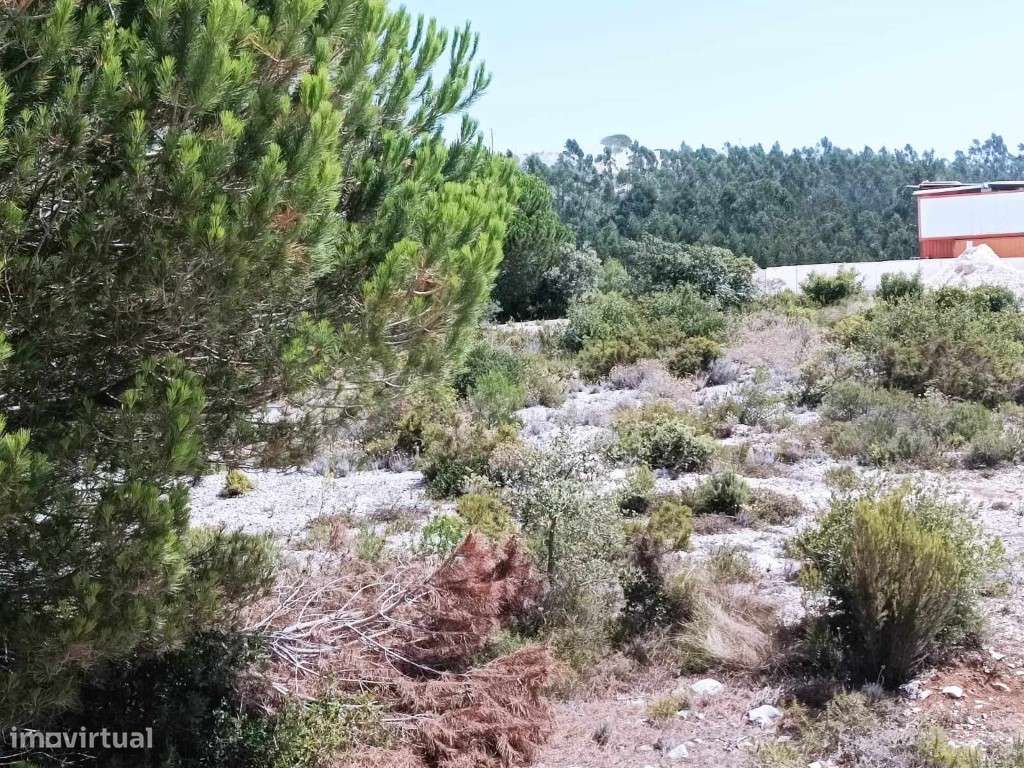 Pedreira Venda Santarém-12