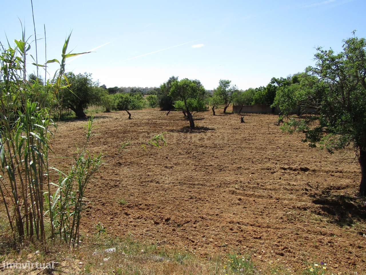 Terreno Rústico na Guia com 11190m2 - Grande imagem: 4/9