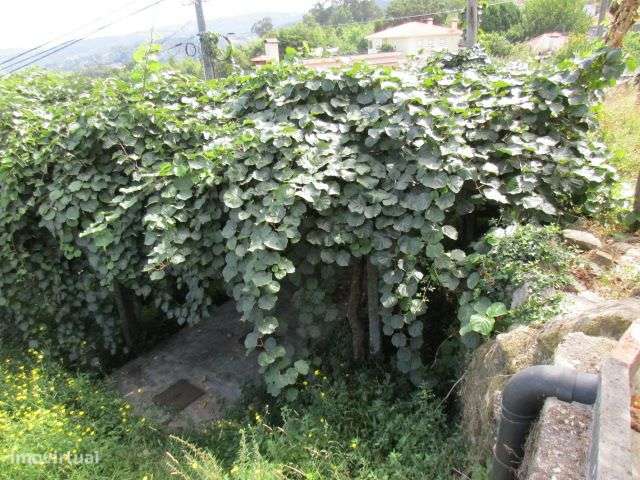 Quintinha em Roriz-18