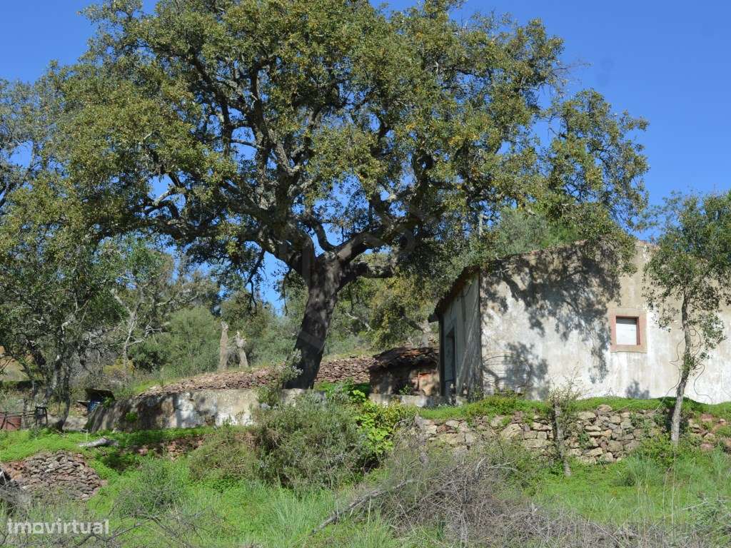 Lote de terreno com uma pequena ruína térrea, São Brás de Alportel,... - Grande imagem: 2/32