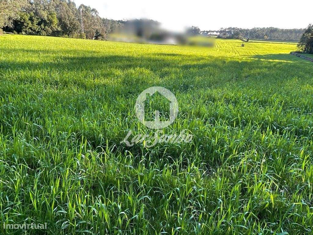 Terreno para construção de moradias com 16.835 m2 em Vairão - Grande imagem: 2/4