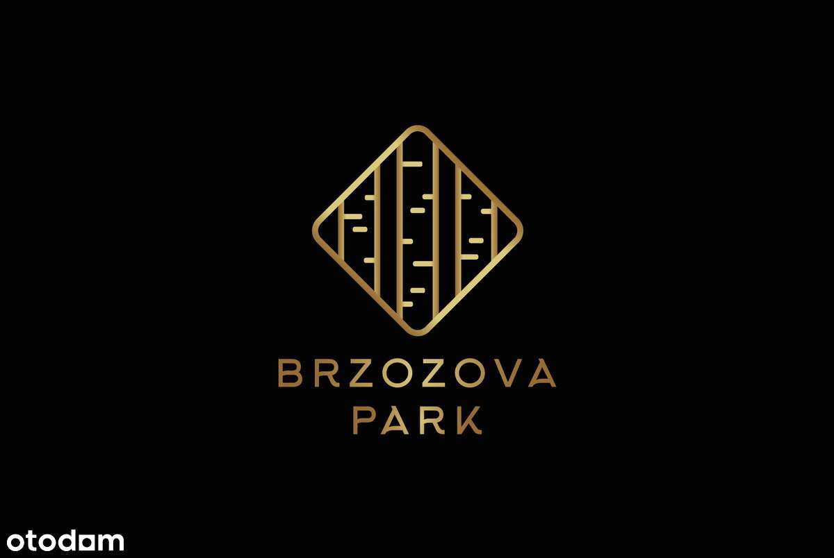 Brzozova Park – nowoczesne domy w lesie brzozowym | już od 590.000 zł - Pełny obrazek: 4/18