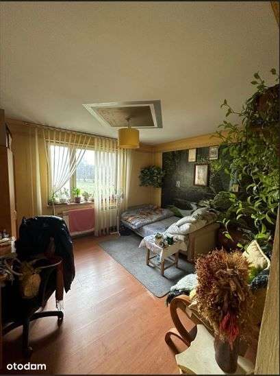 Syndyk sprzeda dom jednorodzinny - Pełny obrazek: 4/7