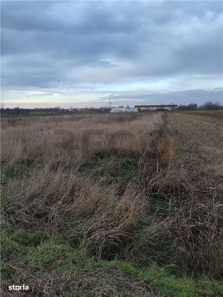 RECO Teren extravilan, Bors - Imagine principală: 2/2