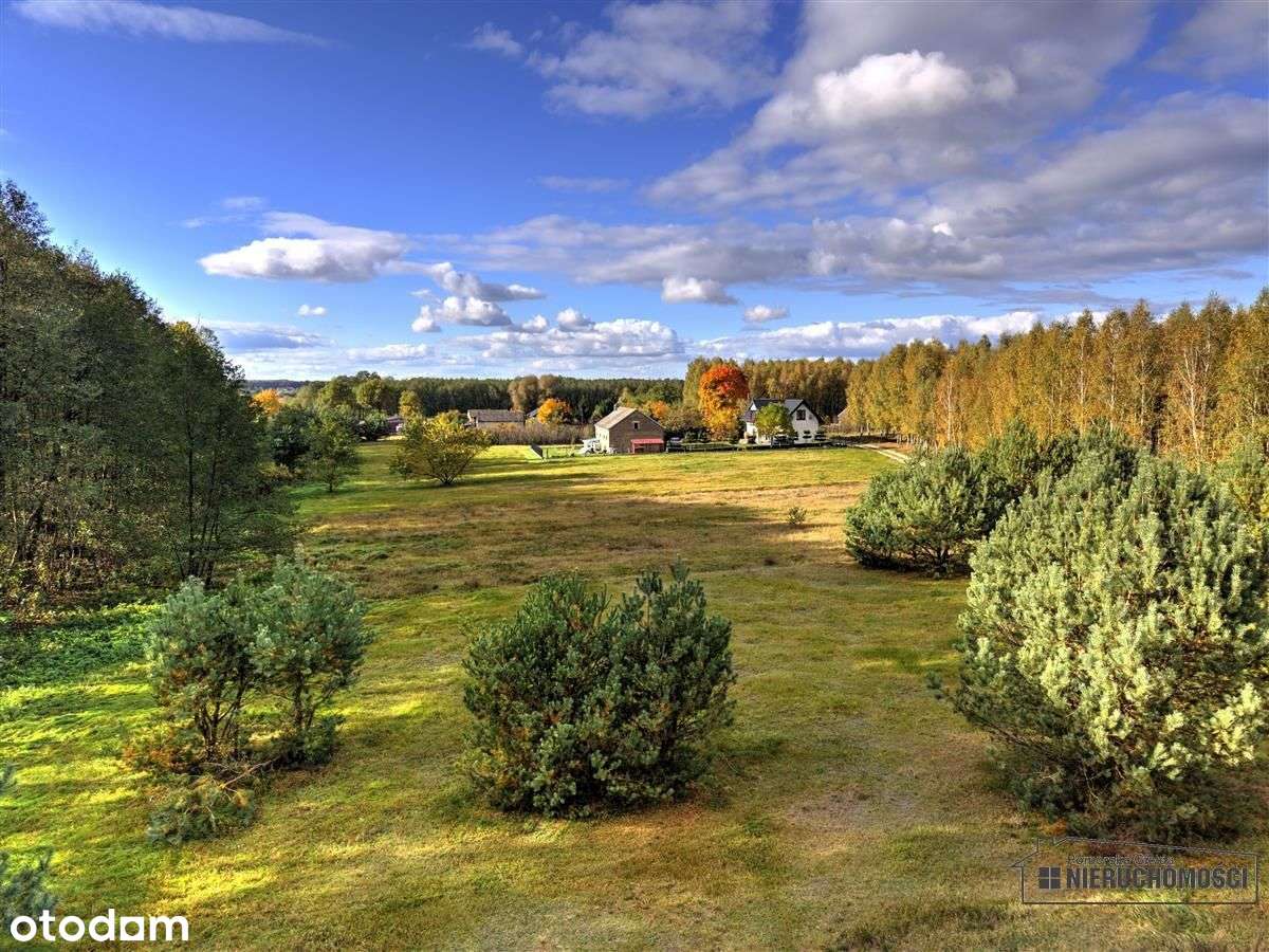 Działka pod lasem na raty - Piaseczno-16