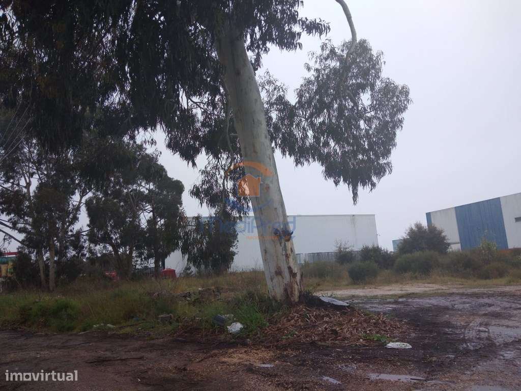 Terreno de 8.200m2 - Quinta do Anjo - Grande imagem: 2/2