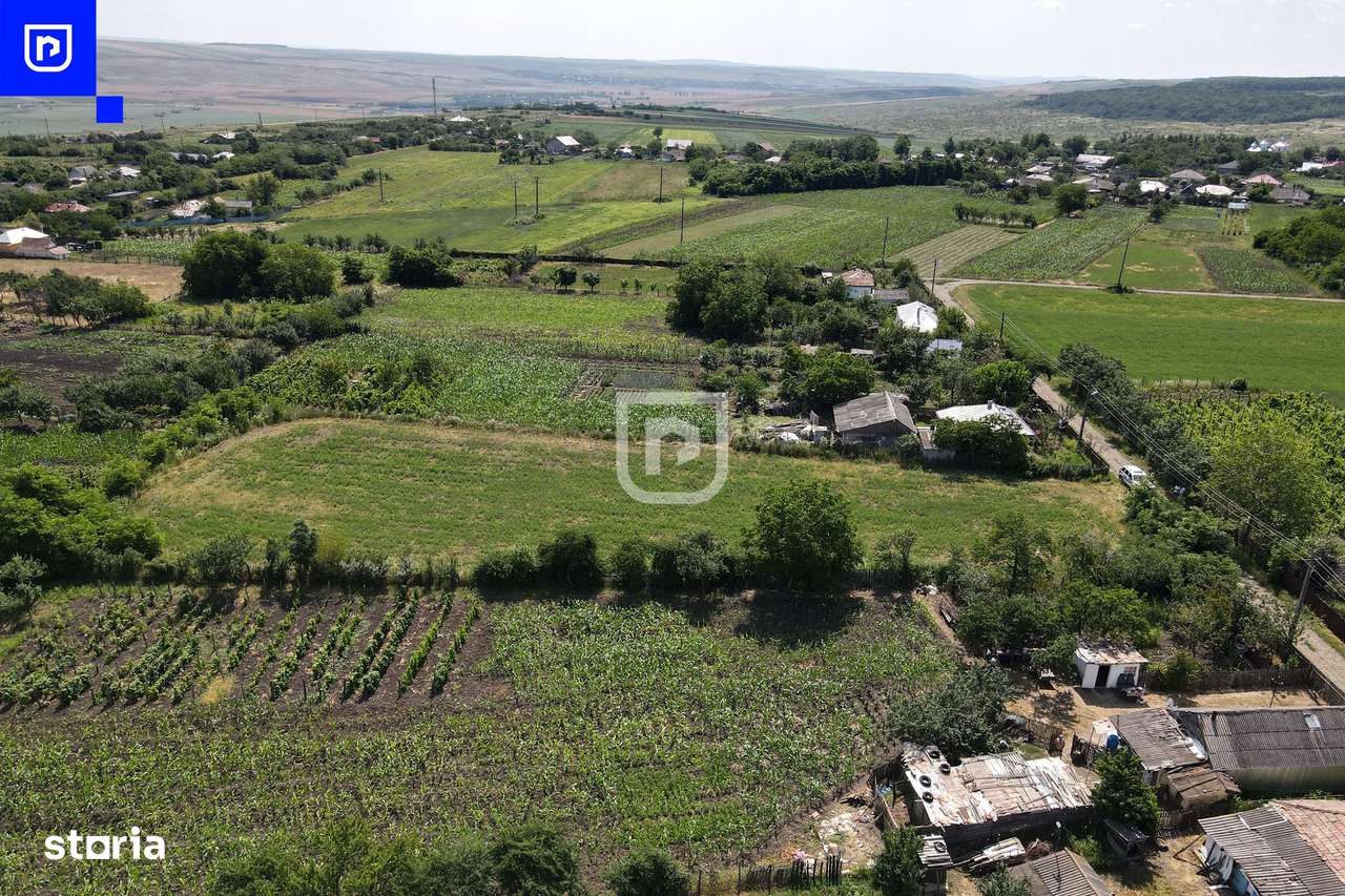 Teren - Ionășeni | BOTOȘANI | 3.285mp - Imagine principală: 5/8