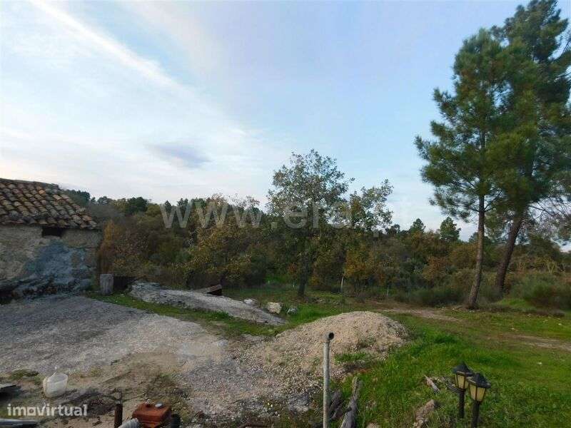 Quinta T1 / Fundão, Orca - Grande imagem: 4/19