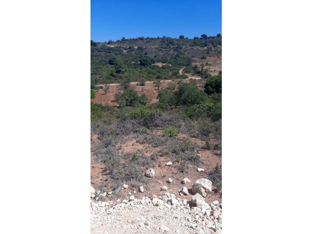 Terreno Rustico com 15000m2 

Situa-se Nos Monteiros em Vale Judeu - Grande imagem: 5/6
