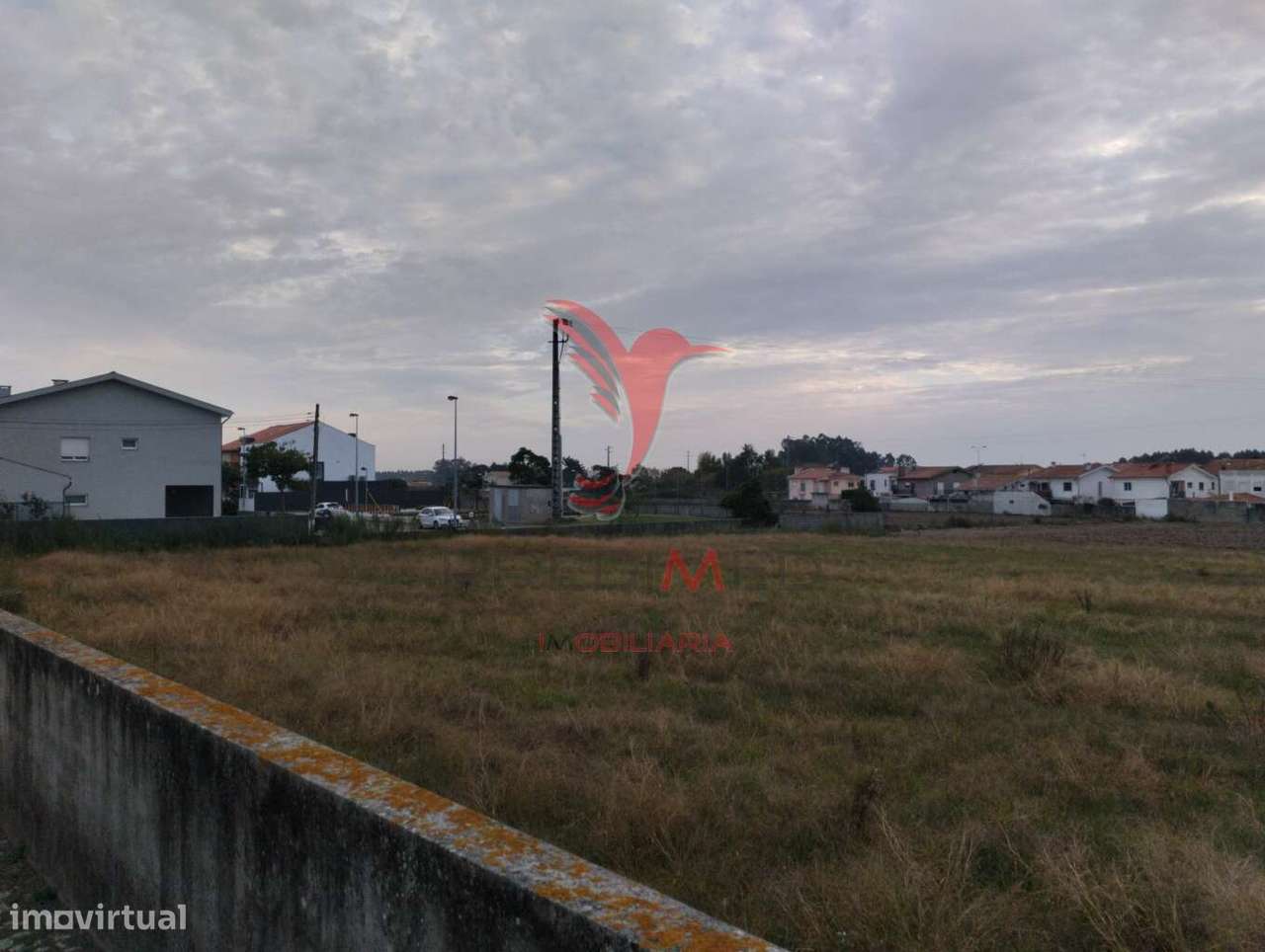 NOVIDADE - BEIRIZ, PÓVOA DE VARZIM - Grande imagem: 4/7