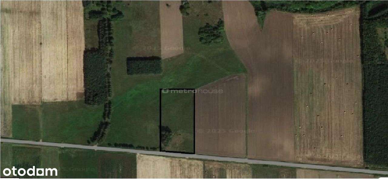 Działka, 5 000 m², Rudniki - Pełny obrazek: 5/6