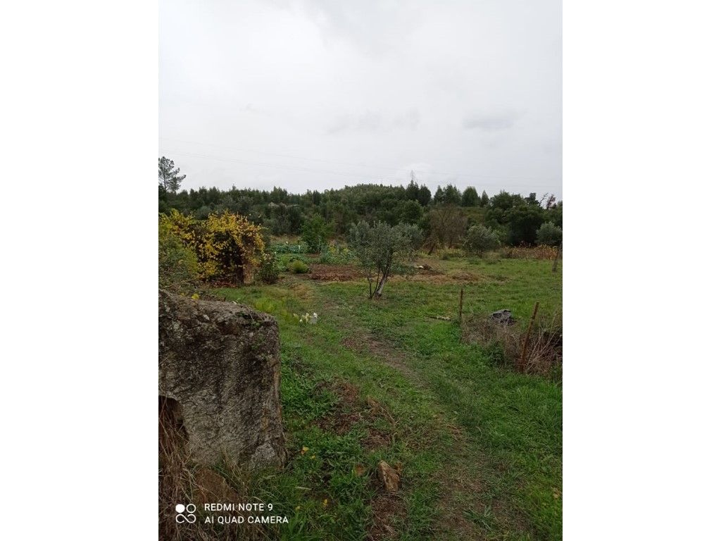 Terreno rustico com vários Poços e Olival em Penhascoso, ...