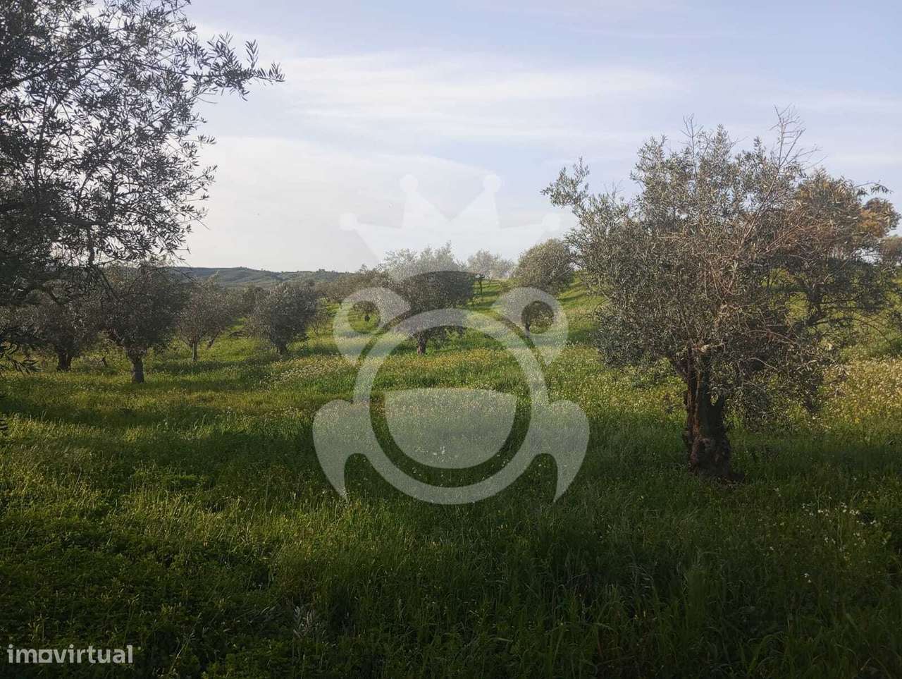 Terreno à venda – 2.500 m² em Alqueva-12