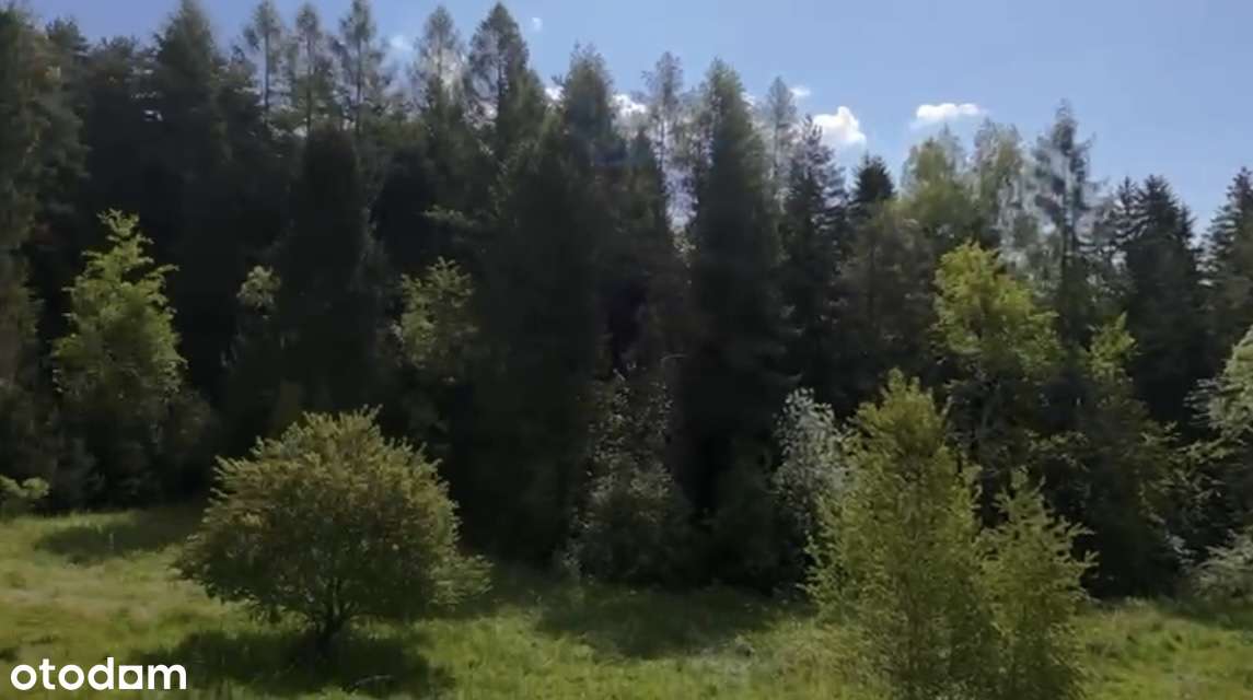 działka budowlano/rolna - Pełny obrazek: 4/12