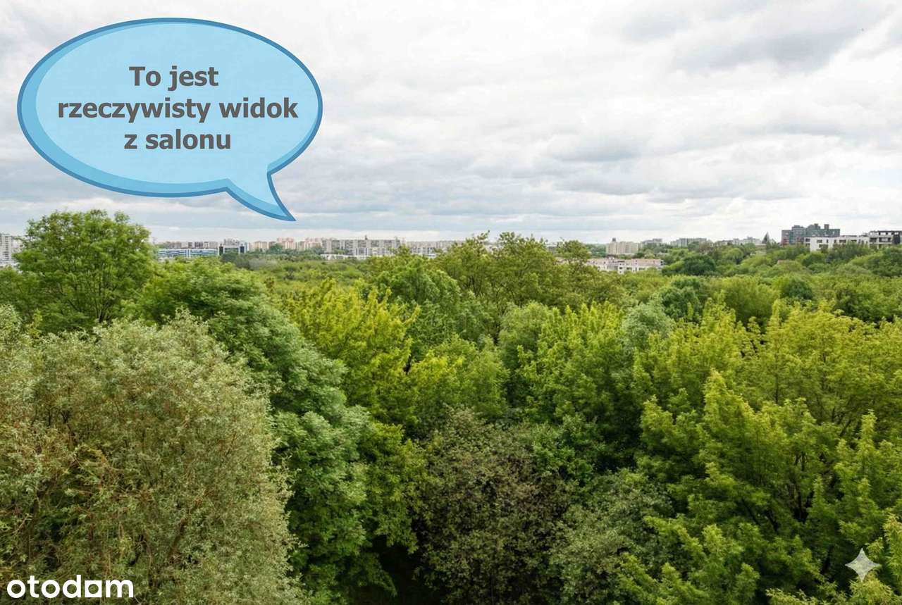 Atrakcyjne 3 pokoje przy metrze | Widok na zielony Mokotów | Jasne - Pełny obrazek: 3/12