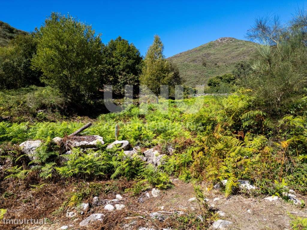 TERRENO PLANO E DE FÁCIL ACESSO - Grande imagem: 4/20