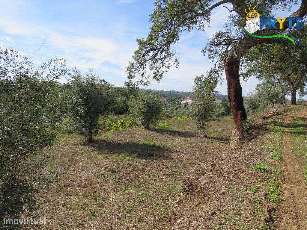 Moradia T3 situada em Outeiro da Lagoa, a apenas 5 minutos da Sertã-18