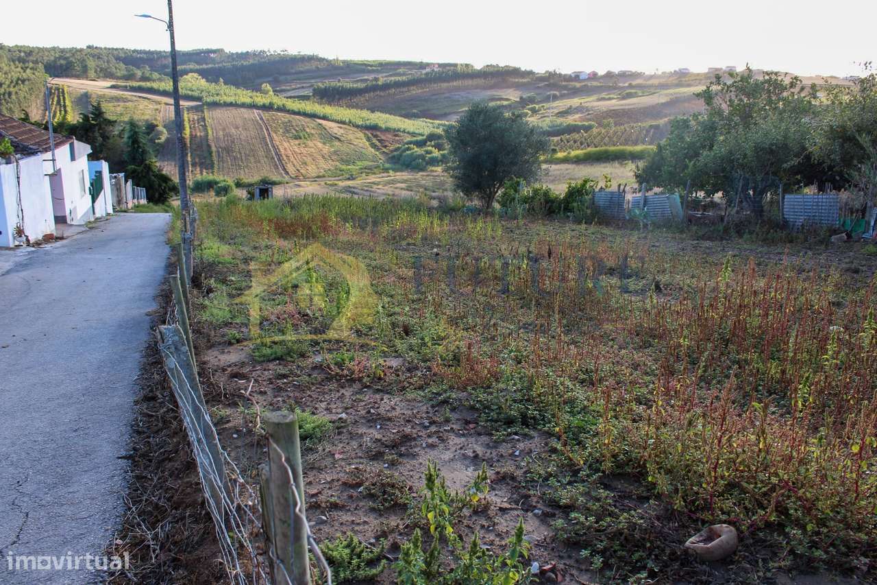 Terreno  Venda em Bombarral e Vale Covo,Bombarral-9