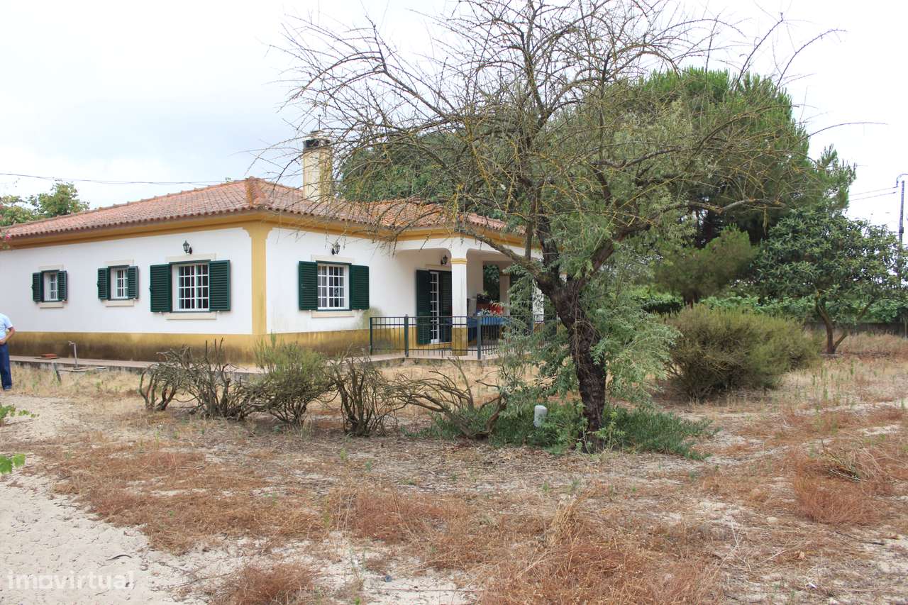 Moradia T2 +Anexos e garagem Lote 2500 m2-24
