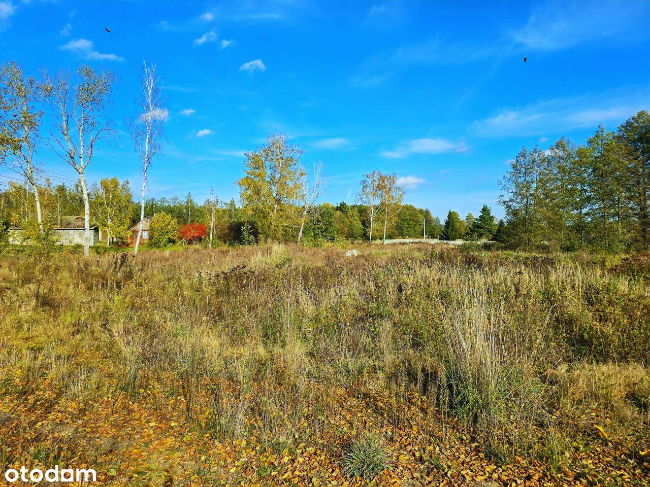 Działka pod inwestycję turystyczno-rekreacyjną, 3 ha,70 km od Warszawy-12