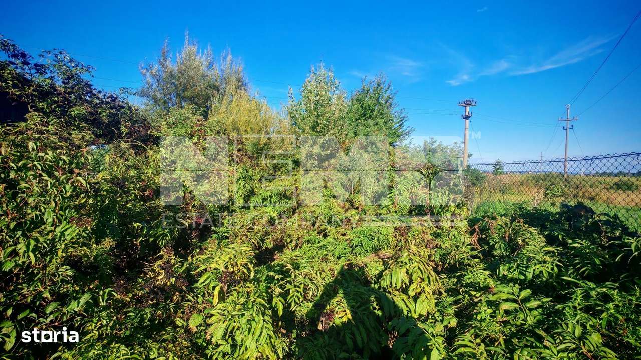 Teren intravilan | 25 ari | Front stradal 20 m | Rădăuți - Imagine principală: 4/10