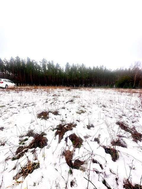 Murzynowo Leśne działka budowlana przy lesie-2