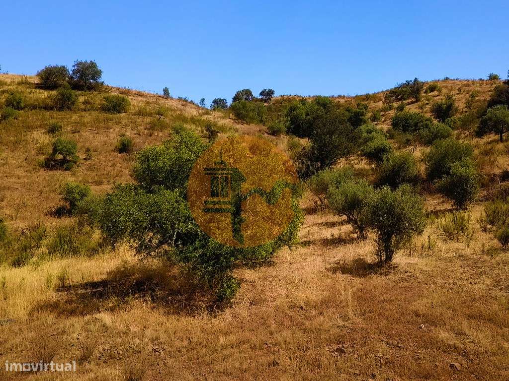 TERRENO MISTO COM 1.200 M2 ÁREA URBANA E 12.7 HECTARES DE TERRENO C... - Grande imagem: 5/58