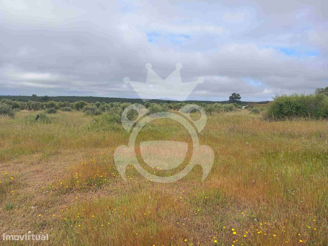 Terreno Rústico com ruína - 3Ha-3