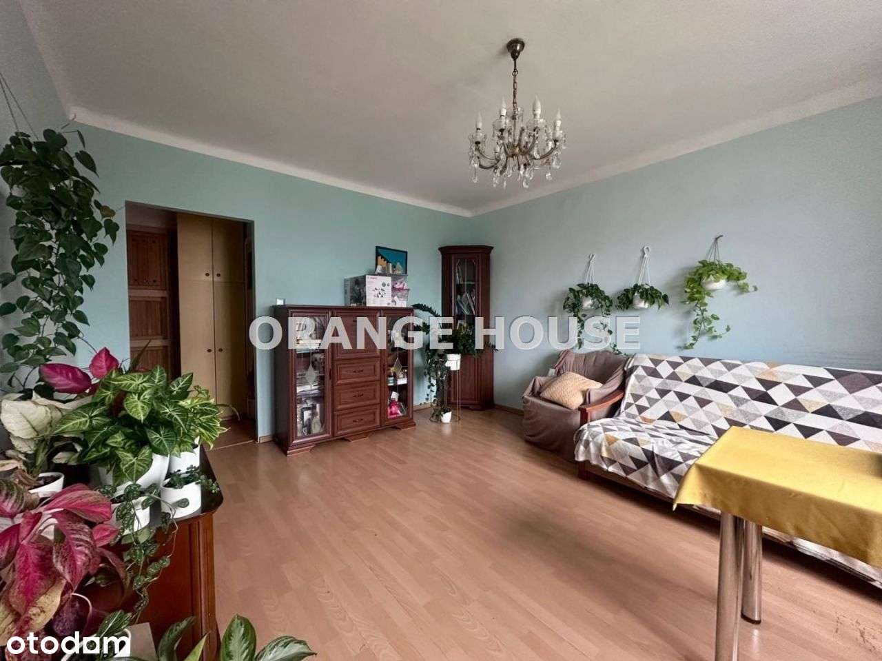 Mieszkanie na Starym Żoliborzu 1/2 pokoje - Pełny obrazek: 4/14