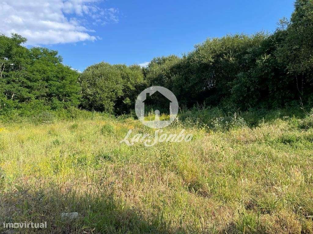 Terreno de construção para moradias com 18.650m2 em S. Romão Corona... - Grande imagem: 4/7