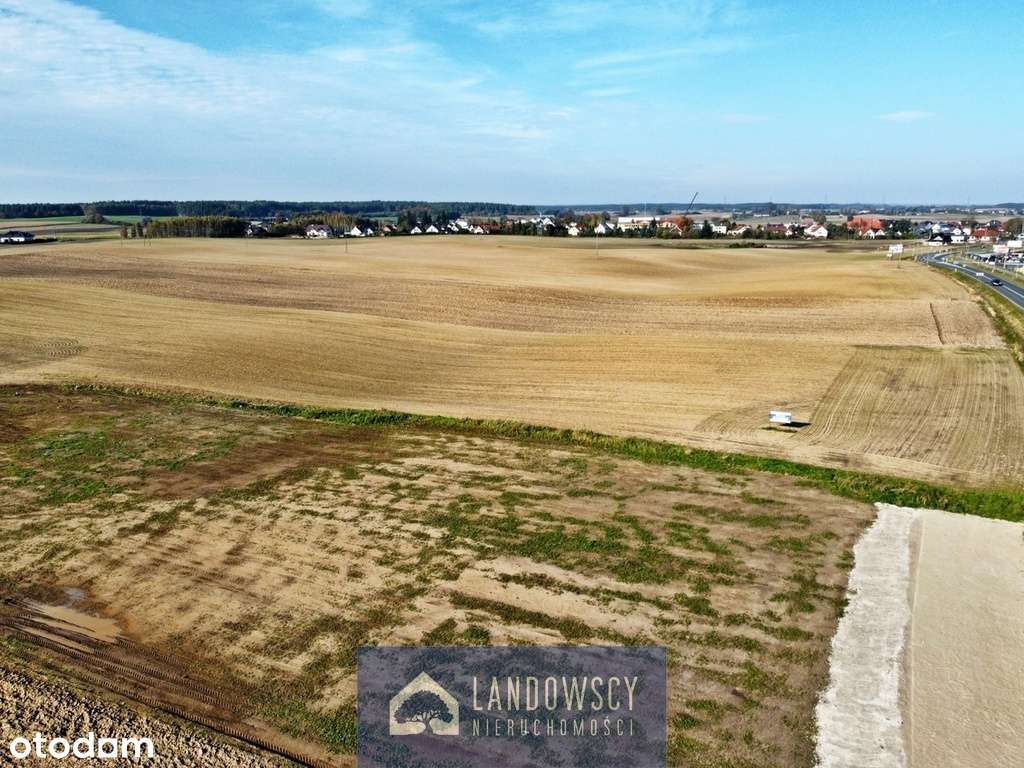 Działka przemysłowa przy drodze wojewódzkiej - Pełny obrazek: 4/20