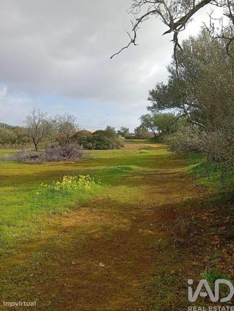 Terreno misto em Conceição e Estoi - Grande imagem: 4/13