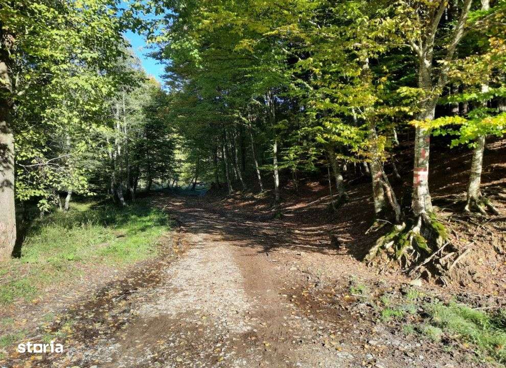 Teren extravilan , 7160 metri Cod:160785 - Imagine principală: 4/5