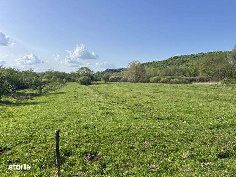 case la tara + teren de 13.000 mp - Imagine principală: 5/7