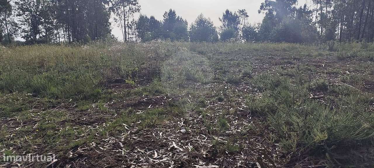 Terreno  para venda-6
