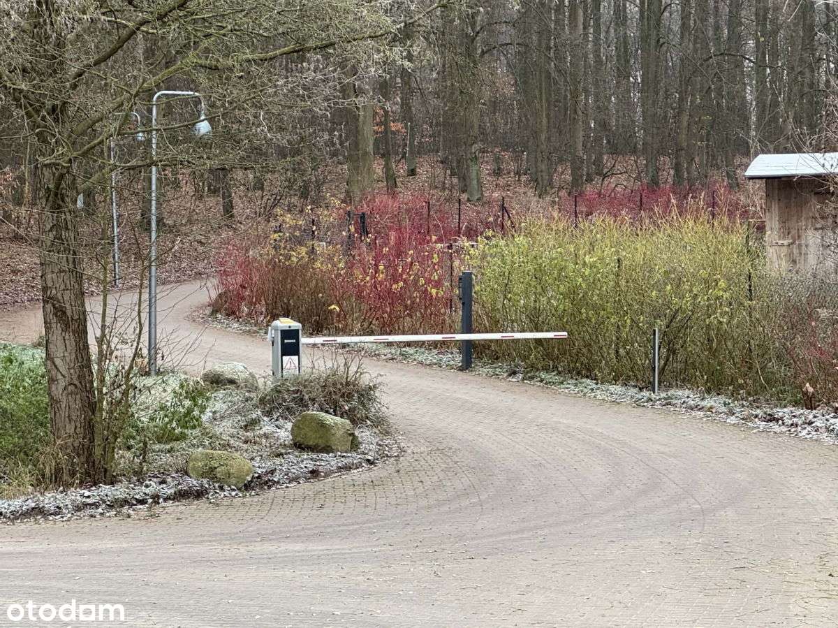 PoznaŃ, Strzeszyn, rezydencyjna, przy lesie - Pełny obrazek: 5/11
