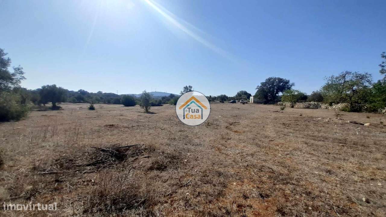 Terreno Rústico com 2,6Ha em Conceição e Estói - Grande imagem: 2/16