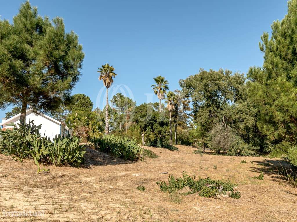 Terreno com projeto, em Brejos da Carregueira de Baixo, Grândola - Grande imagem: 5/19