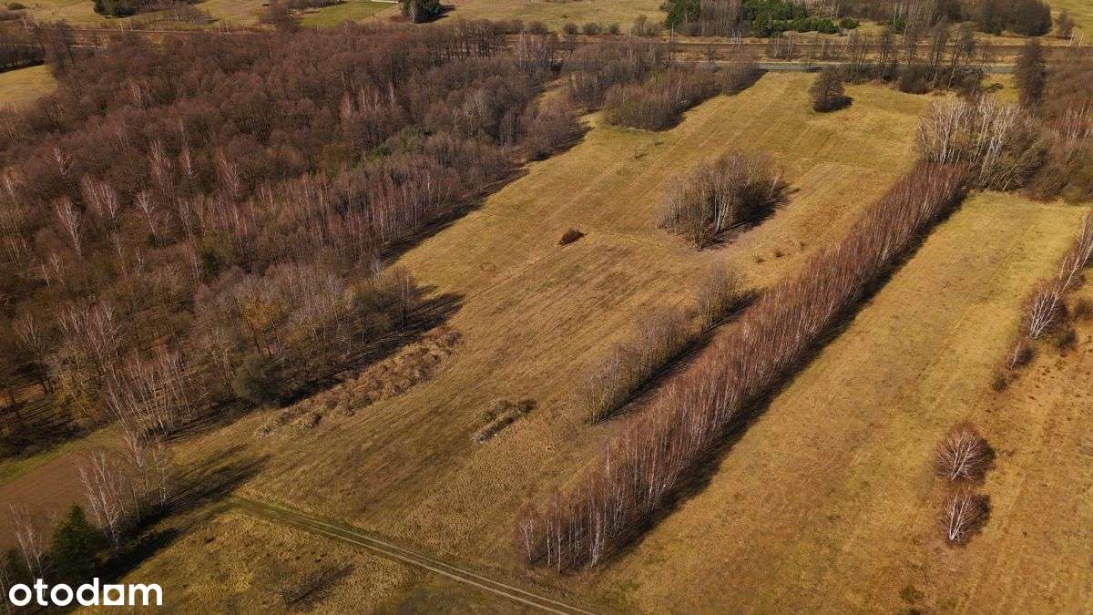 Działka przemysłowa 2,8 ha Łojew, gm. Łochów-5