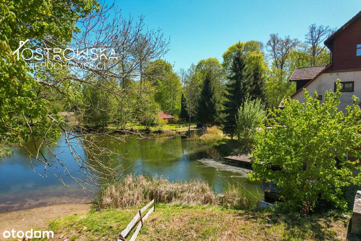 Babięta/ na wyspie/rzeka na szlaku Krutyni-5