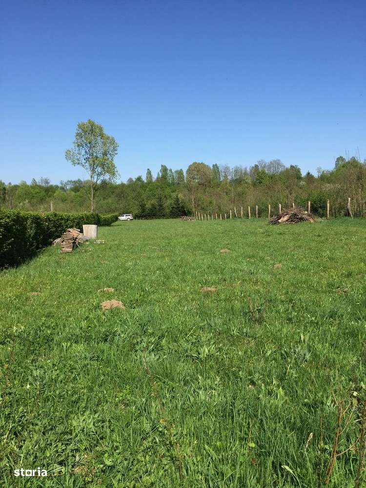 Teren de vanzare în reprezentare exclusivă, situat pe Valea Avrigului! - Imagine principală: 5/9