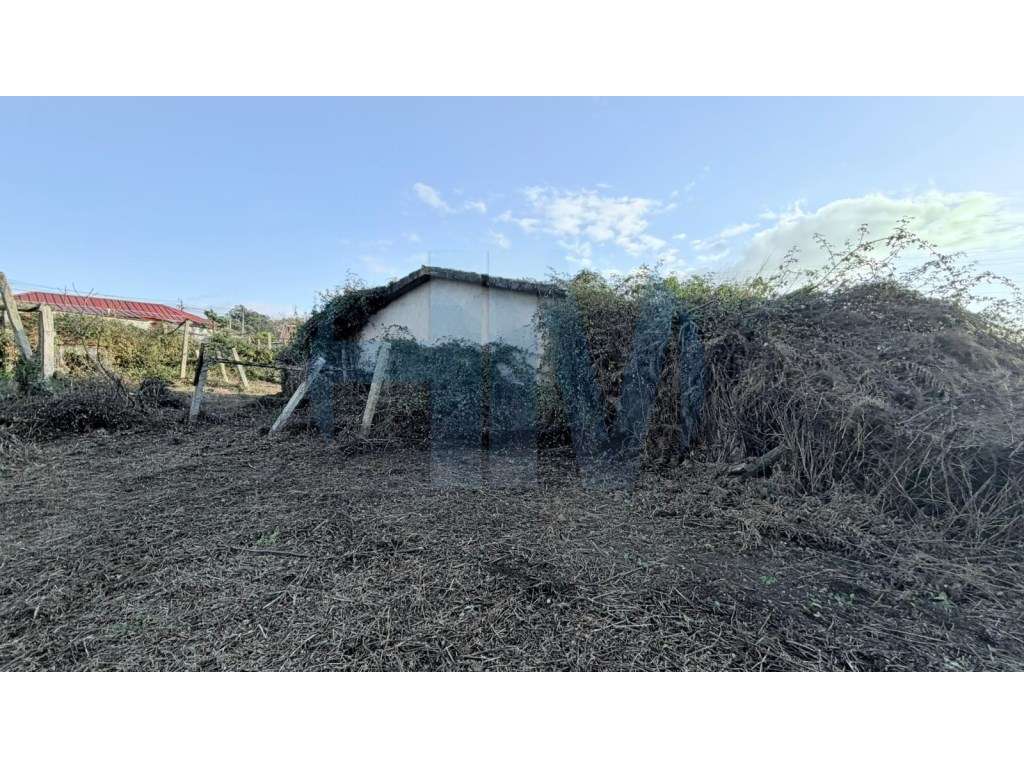 Moradia Térrea T3 para Renovação com Terreno urbano de 3.000 m² - F...-14