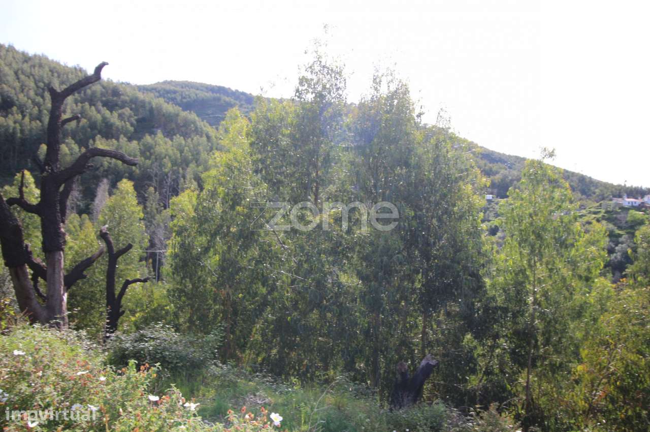 Terreno Rustico em Portalinhos - Monchique - Grande imagem: 5/23