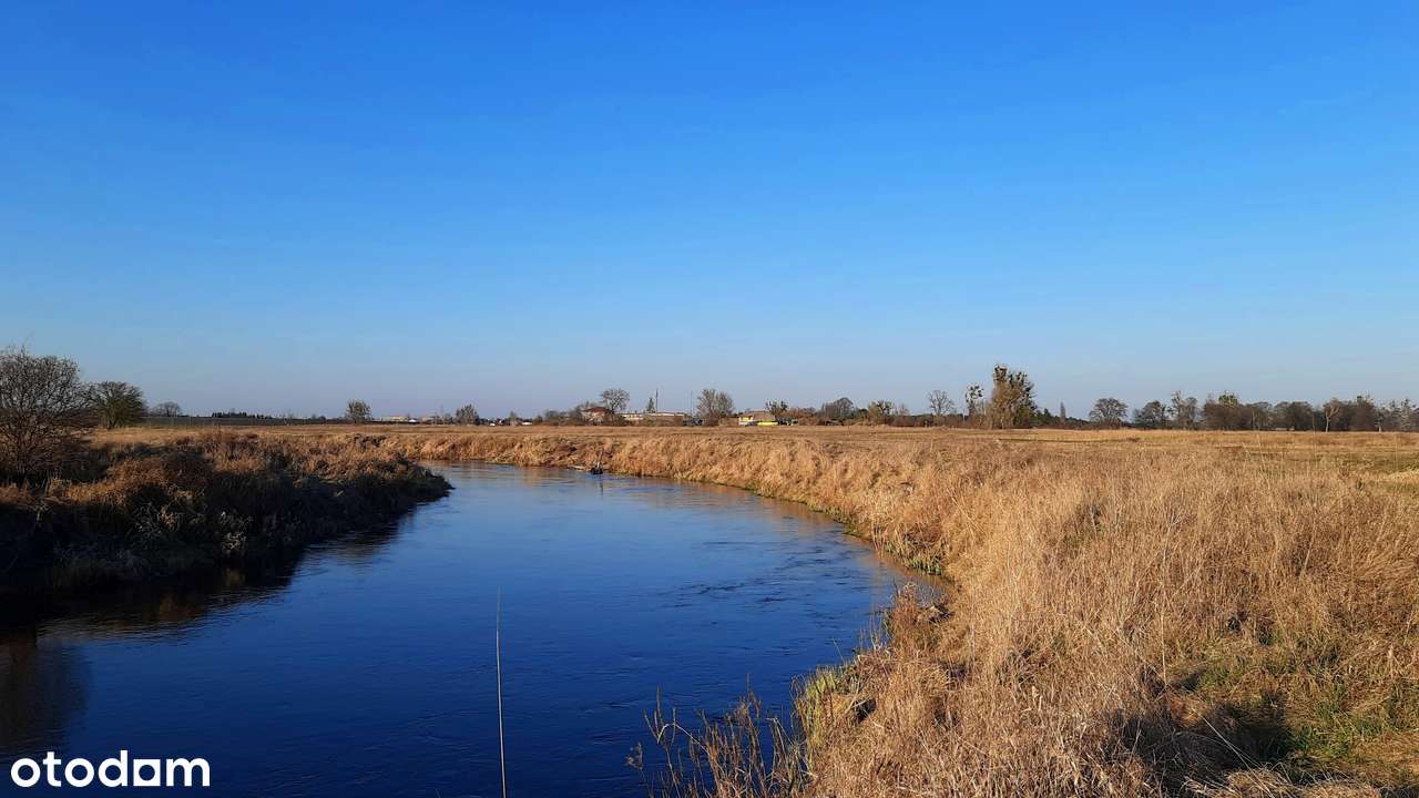 Działka Rolna – 3 hektary dzikiej piękności w sercu Natury 2000! - Pełny obrazek: 5/17