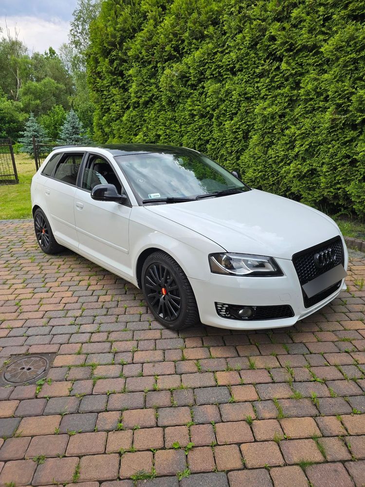Audi A3 8P 1.9 TDIe DPF 2009