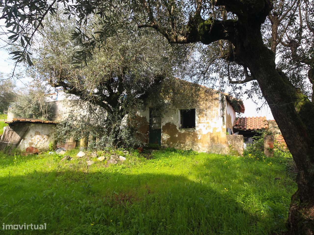 Terreno com cerca de 1 Hectare-17