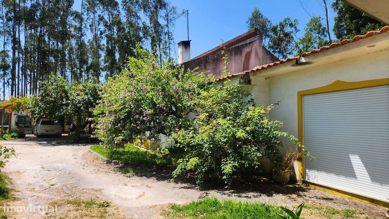 Moradia T3+anexos, térra e isolada. (Negociável) - Grande imagem: 4/38