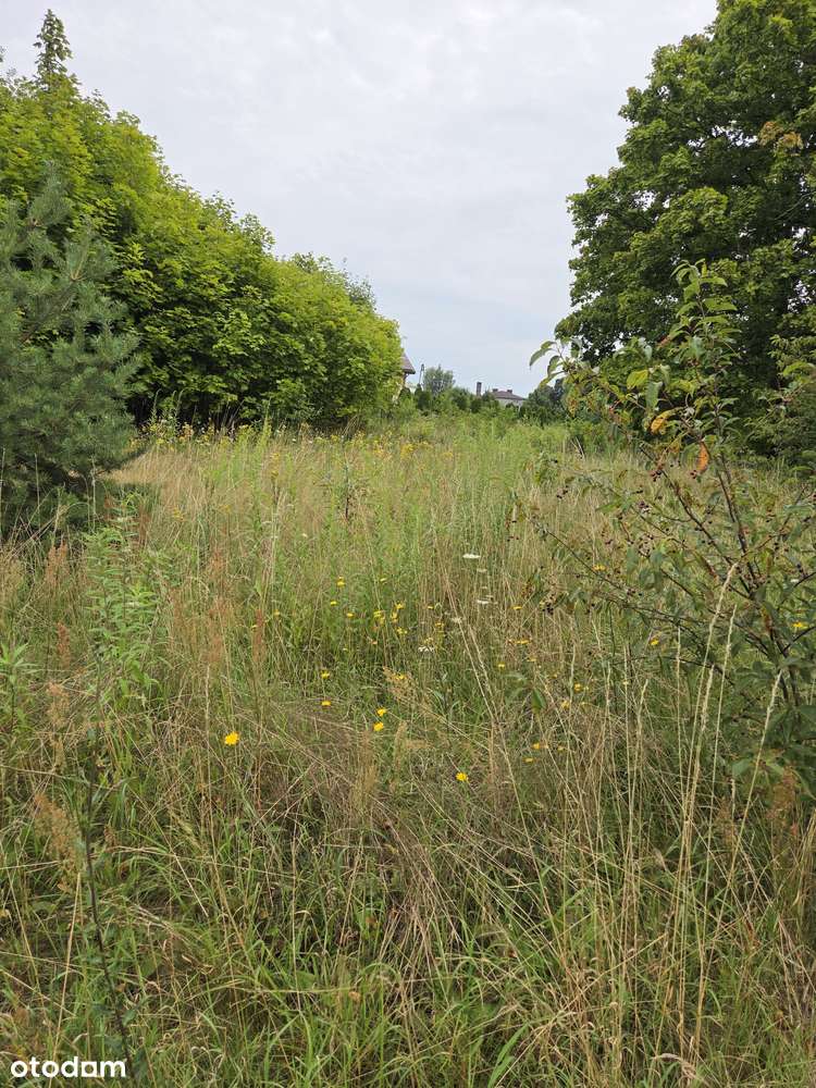 Duża działka w otoczeniu lasu i dobrej infrastruktury - Pełny obrazek: 4/6