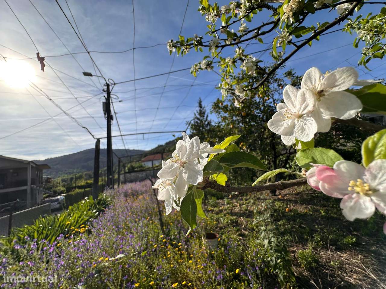 Ruína com Terreno Urbano de 600 m² em Longos – a 10 min de Braga - Grande imagem: 2/15